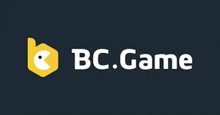 Understanding the BC.Game USA Login Problem Causes and Solutions